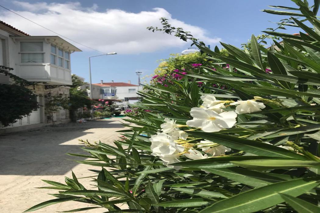 Beyaz Ev Hotel Alaçatı Luaran gambar